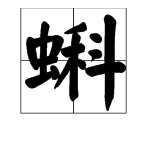 “蝌”字能组成哪些词？