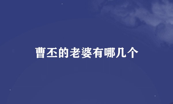 曹丕的老婆有哪几个