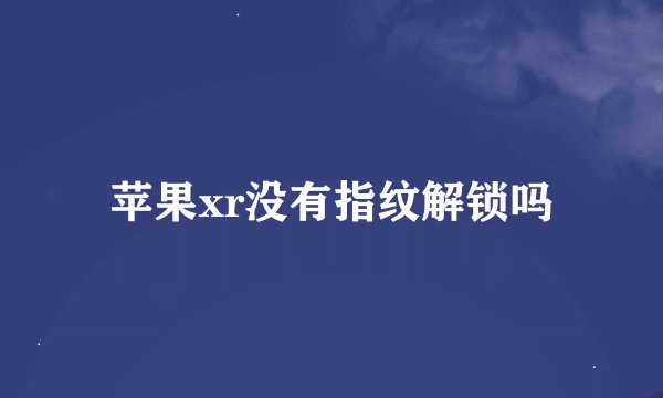 苹果xr没有指纹解锁吗