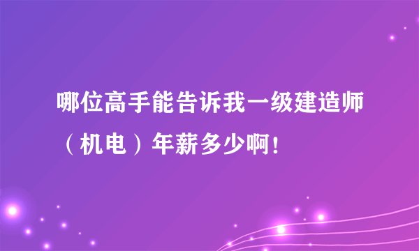 哪位高手能告诉我一级建造师（机电）年薪多少啊！