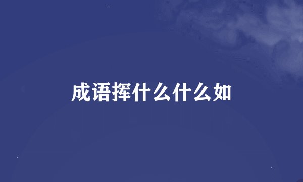 成语挥什么什么如