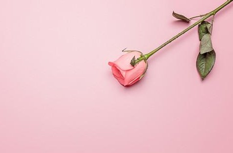爱是什么 如何理解