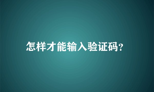 怎样才能输入验证码？