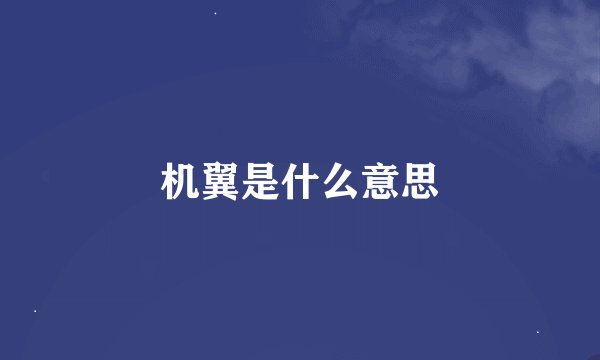 机翼是什么意思
