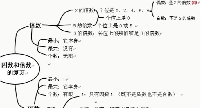 11的因数有哪些呢????