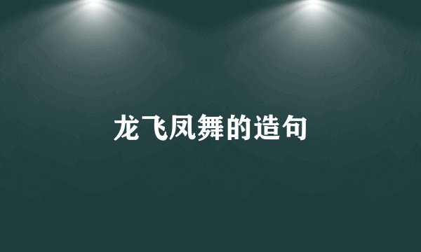 龙飞凤舞的造句