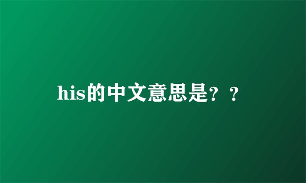 his的中文意思是？？