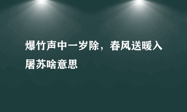 爆竹声中一岁除，春风送暖入屠苏啥意思