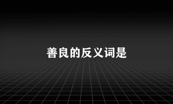 善良的反义词是