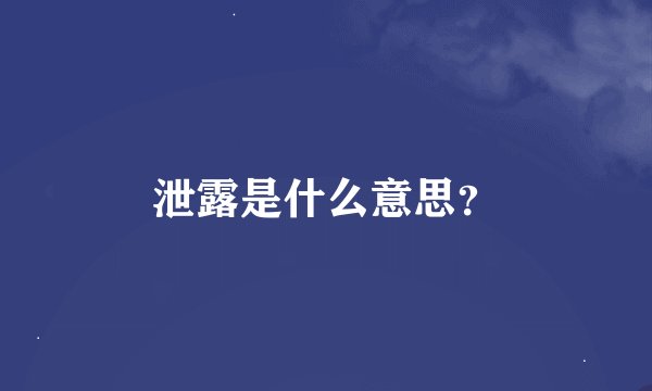 泄露是什么意思？