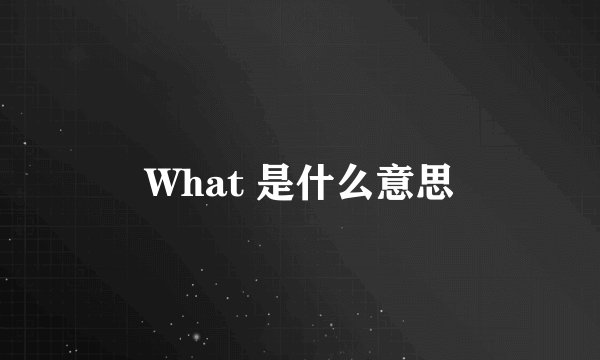 What 是什么意思