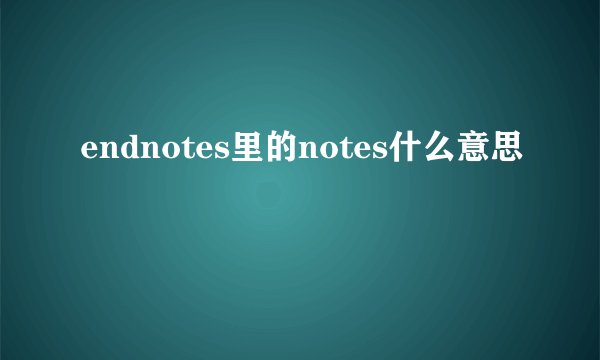 endnotes里的notes什么意思