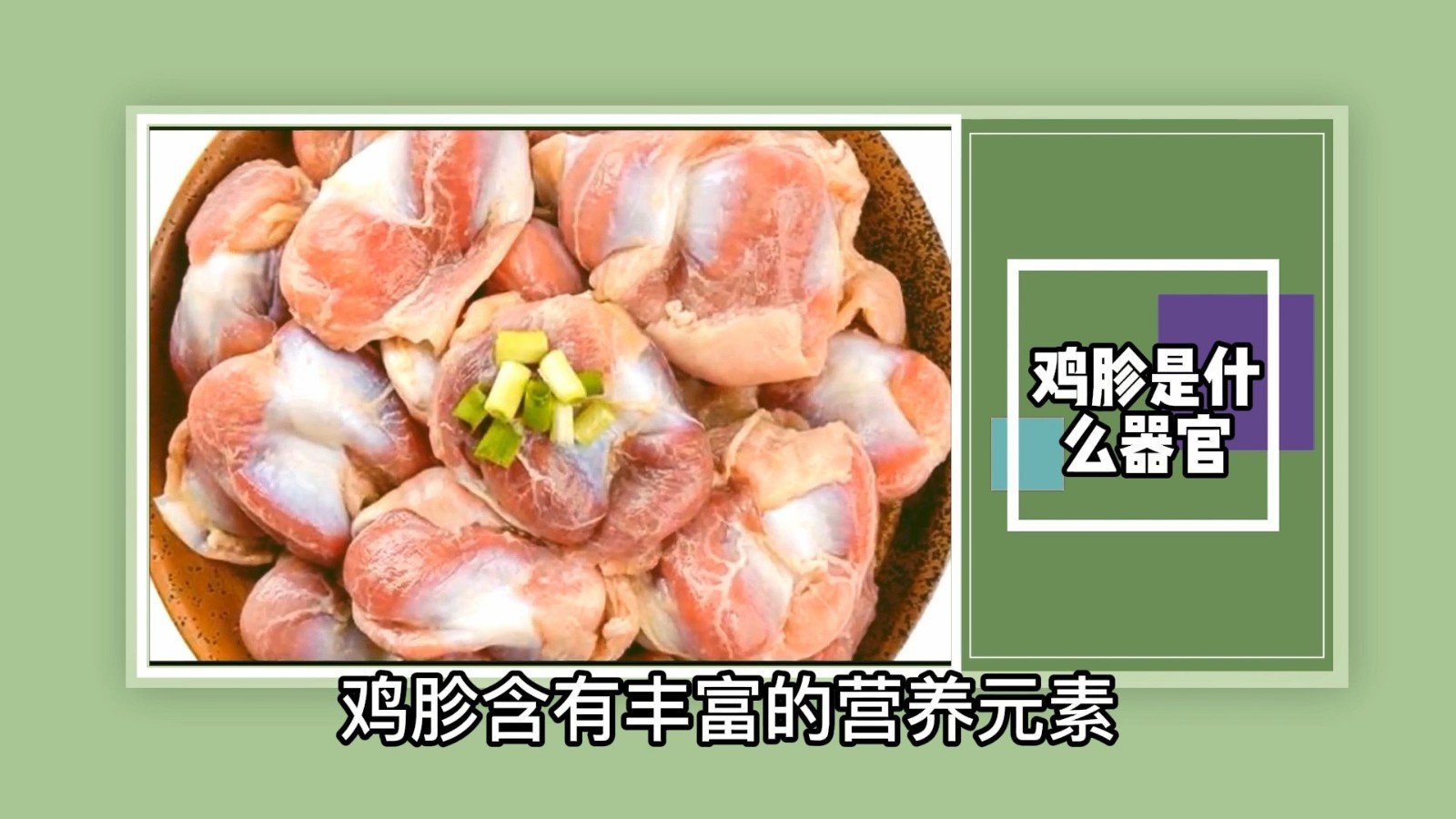 鸡胗是什么器官?