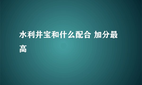 水利井宝和什么配合 加分最高