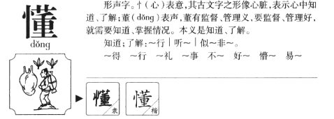 懂的组词有哪些
