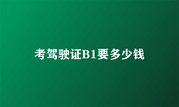 考驾驶证B1要多少钱
