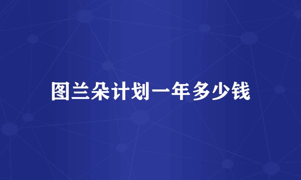 图兰朵计划一年多少钱