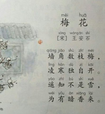 梅花古诗王安石古诗拼音版