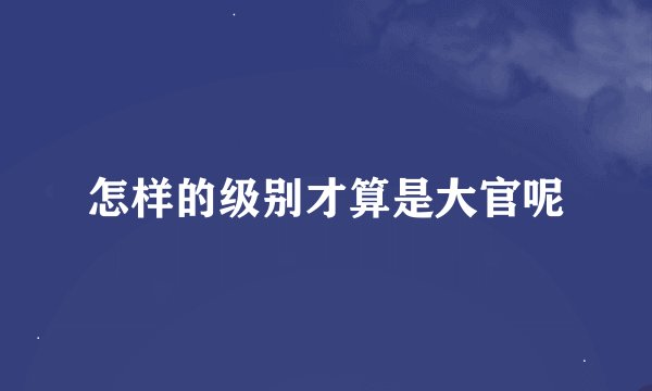 怎样的级别才算是大官呢