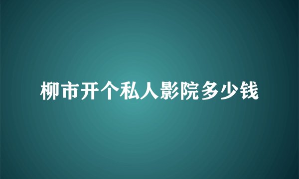 柳市开个私人影院多少钱