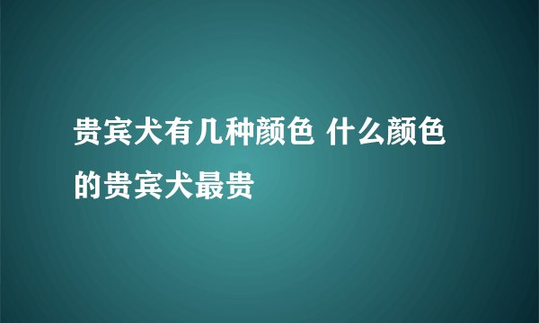 贵宾犬有几种颜色 什么颜色的贵宾犬最贵
