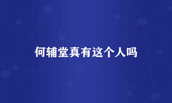 何辅堂真有这个人吗