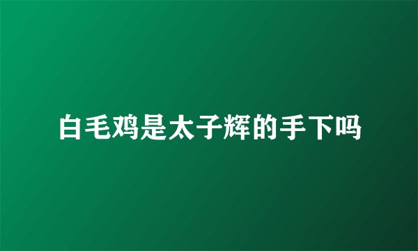白毛鸡是太子辉的手下吗