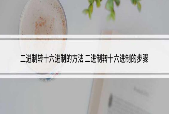 二进制转换成十六进制是什么样的？