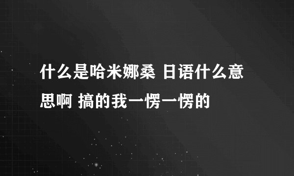 什么是哈米娜桑 日语什么意思啊 搞的我一愣一愣的