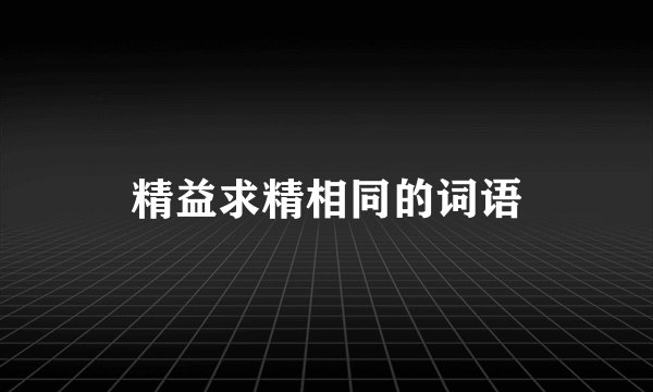 精益求精相同的词语