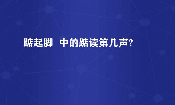 踮起脚  中的踮读第几声?