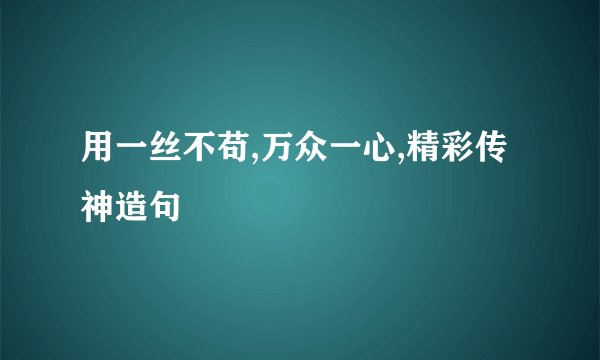 用一丝不苟,万众一心,精彩传神造句