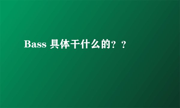 Bass 具体干什么的？？