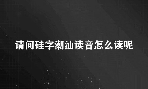 请问硅字潮汕读音怎么读呢