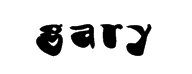 gary的花体字