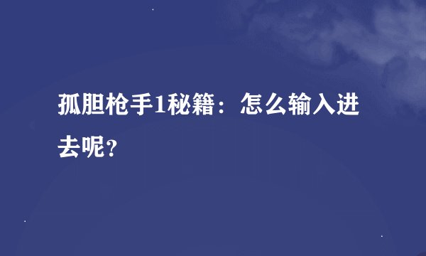孤胆枪手1秘籍:怎么输入进去呢?