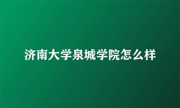 济南大学泉城学院怎么样
