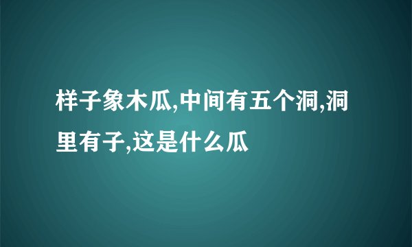 样子象木瓜,中间有五个洞,洞里有子,这是什么瓜