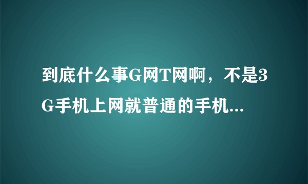 到底什么事G网T网啊，不是3G手机上网就普通的手机上网可以吧？