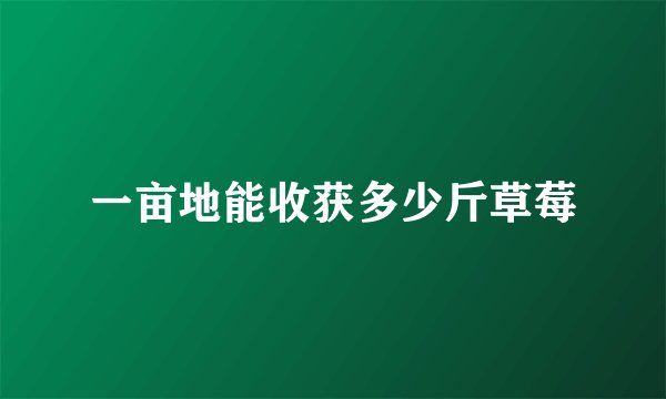 一亩地能收获多少斤草莓