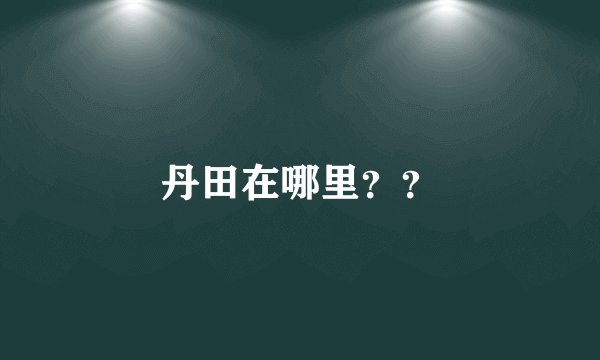 丹田在哪里？？