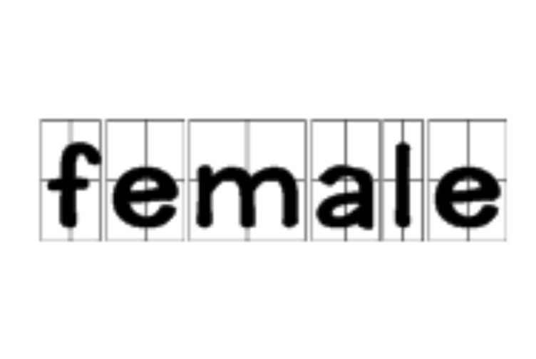 female什么意思