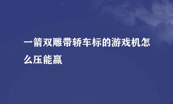 一箭双雕带轿车标的游戏机怎么压能赢
