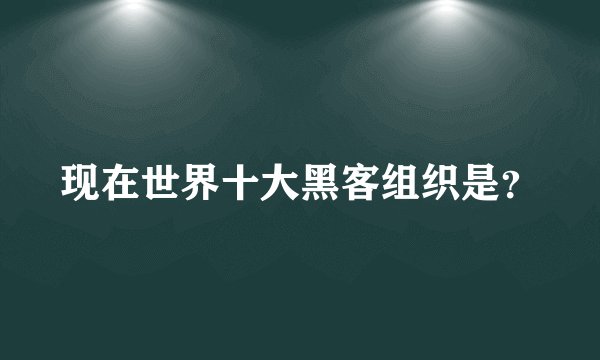 现在世界十大黑客组织是？