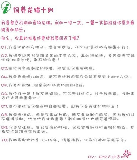 龙猫的价格是多少？白色和米色的。。。龙猫要怎么养