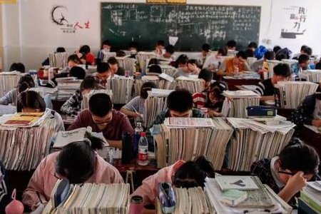 为什么造句？急急急！！！