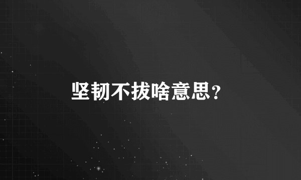 坚韧不拔啥意思？
