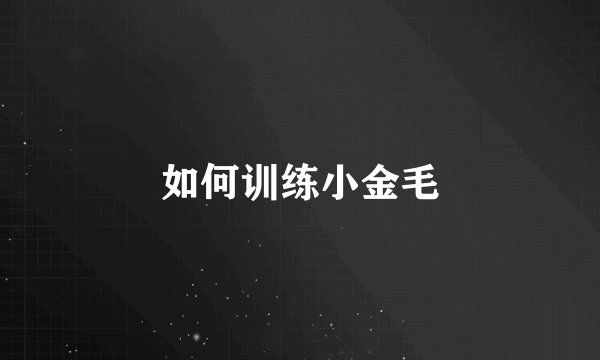 如何训练小金毛