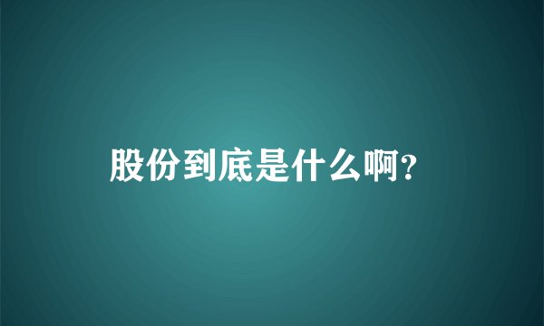 股份到底是什么啊?