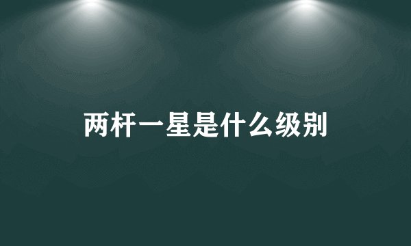 两杆一星是什么级别